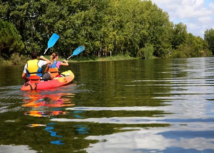 Les Cygnes Au Bord Du Loing